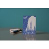 Pack de 5 cartes postales